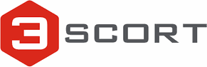 Escort Monitoring Systems
